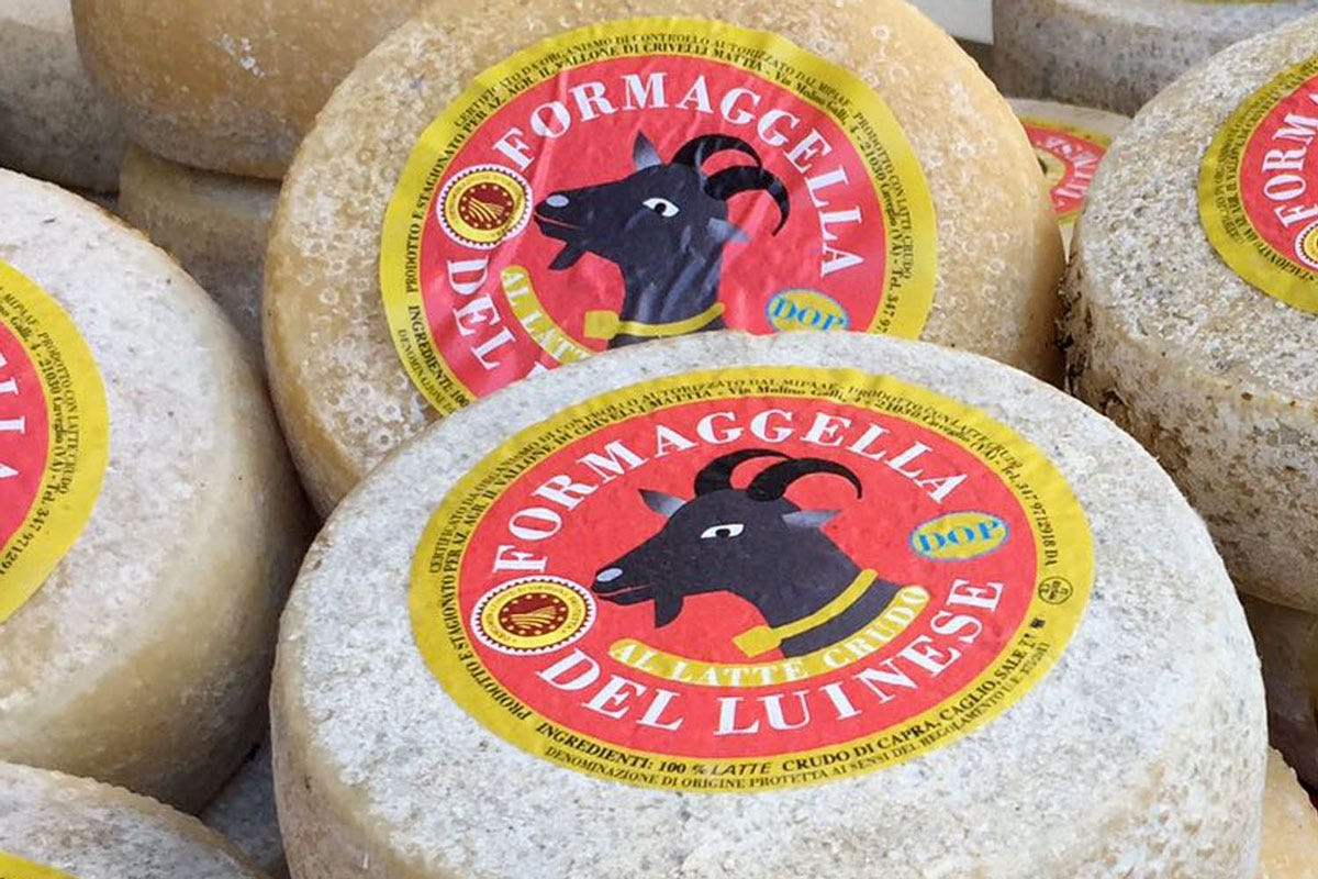 Viaggio tra formaggi: Casciotta d'Urbino, Formaggella del Luinese e Murazzano