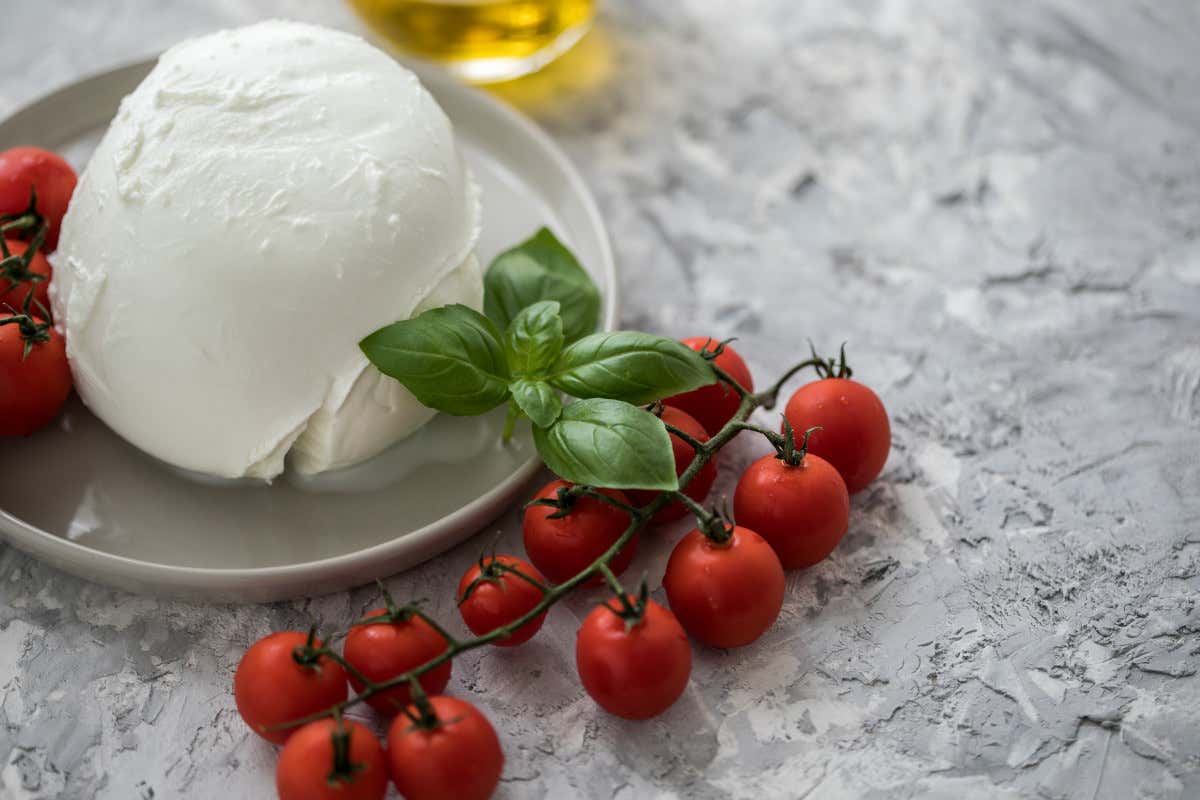 Formaggi freschi: una tradizione italiana, ma crescono le nuove tendenze Formaggi freschi: una tradizione italiana, ma crescono le nuove tendenze