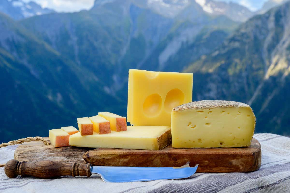 Formaggi a latte crudo e sicurezza: bimbo ricoverato in Veneto riapre il dibattito