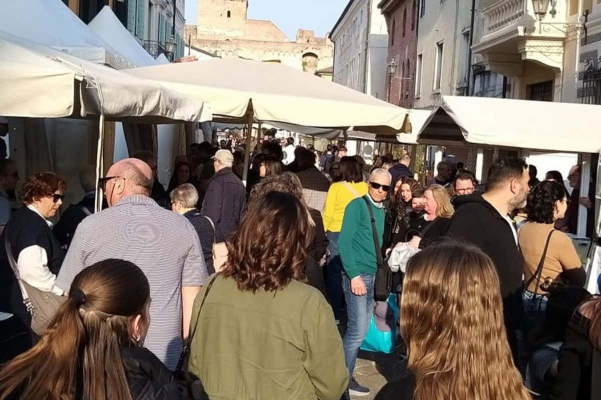 Un'edizione da 70mila visitatori: tutti i numeri di Formaggio in Villa 2025 Un'edizione da 70mila visitatori: tutti i numeri di Formaggio in Villa 2025