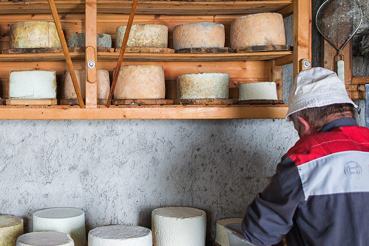 Graukäse. Foto: Filippo Galluzzi Autunno in Val Aurina, tra formaggio e i suoni della natura
