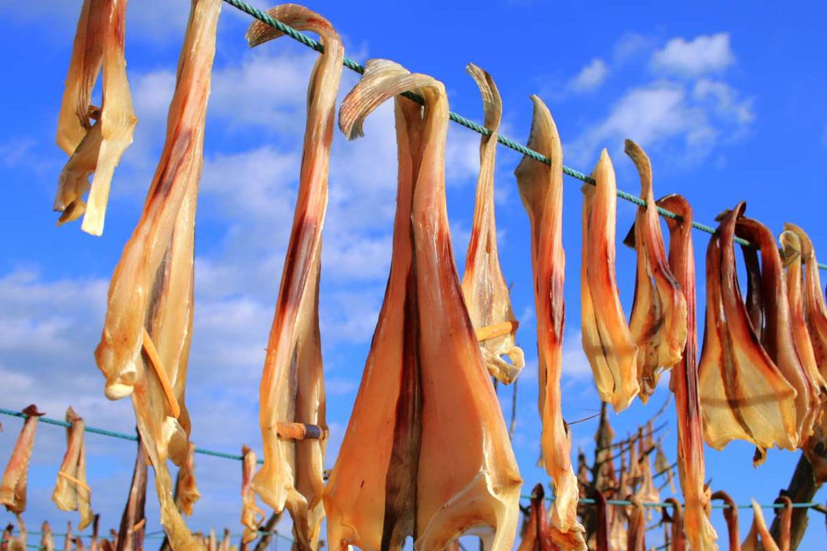 La tradizione del pesce essiccato a Formentera Baleari, non solo mare: anche prodotti autentici tutti da gustare