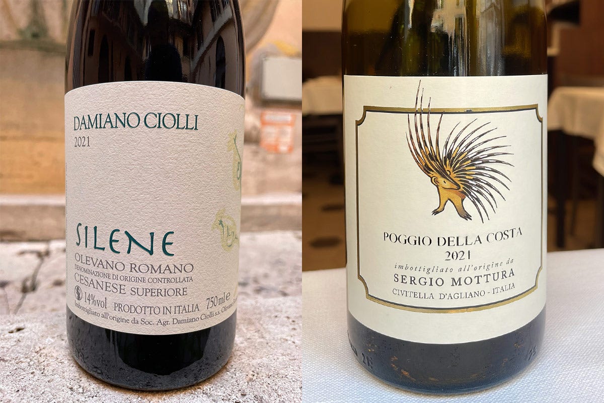 I vini Poggio della Costa Viaggio tra vini e locali romani: un'esperienza di gusto e territorio