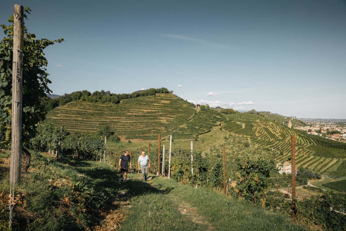 Graziano Merotto, l’artigiano che ama la propria terra, il Pinot Nero e il Metodo Classico 