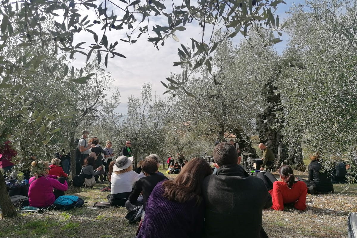 Tanta musica tra gli ulivi Frantoi Aperti in Umbria, insieme all'olio arte e turismo