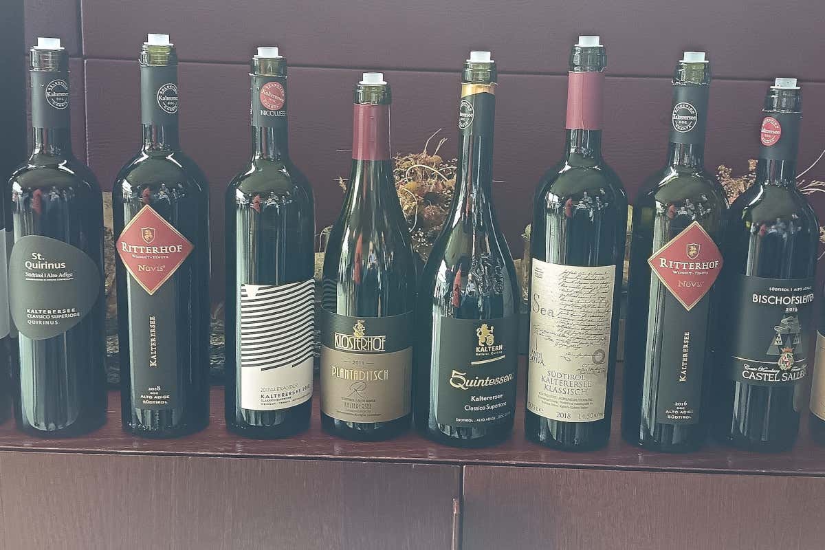 Caldaro, la Schiava torna al centro con il rilancio del territorio