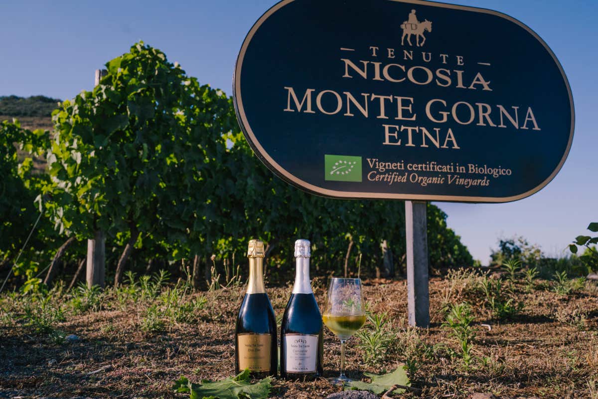 I vini etnei conquistano Milano, l’eccellenza di Tenute Nicosia I vini etnei conquistano Milano, l’eccellenza di Tenute Nicosia