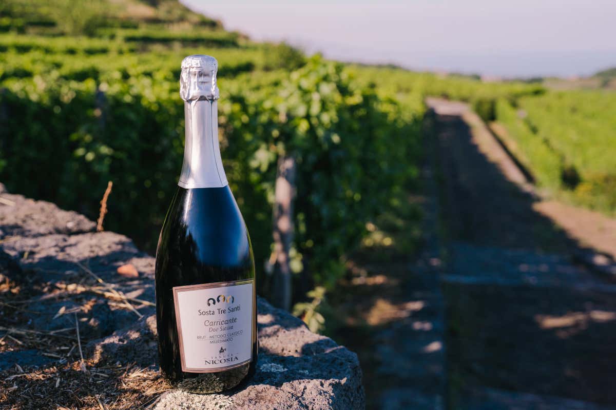 I vini etnei conquistano Milano, l’eccellenza di Tenute Nicosia I vini etnei conquistano Milano, l’eccellenza di Tenute Nicosia