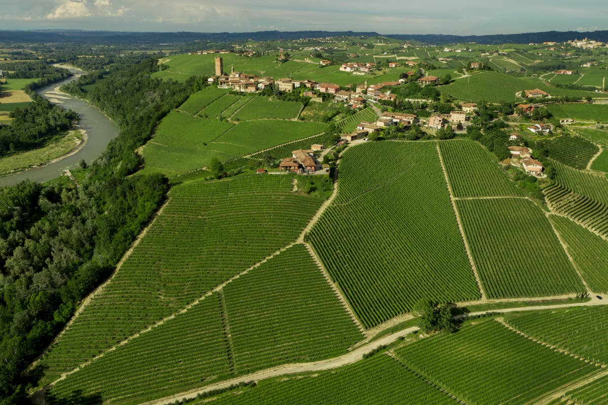 Gaja, dove il vino diventa un'eccellenza 