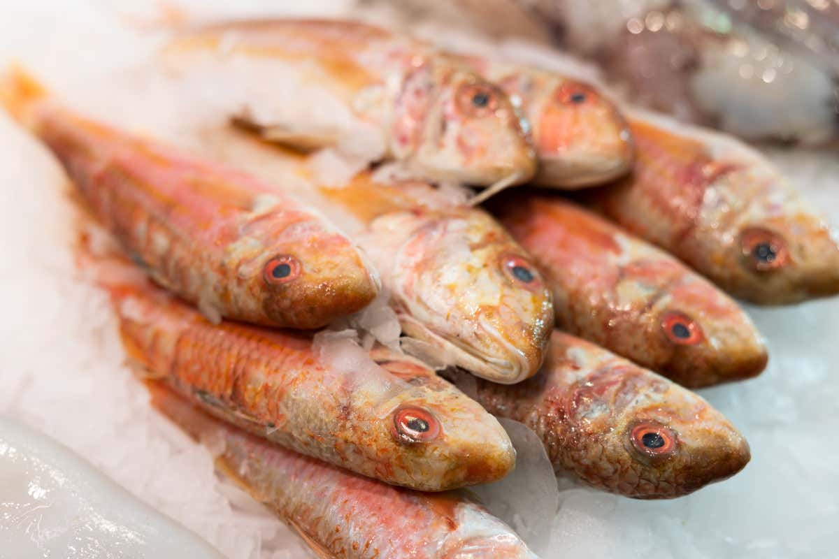 Un pranzo a Genova nel 1692: la cucina porta in tavola il Nuovo Mondo Un pranzo a Genova nel 1692: la cucina porta in tavola il Nuovo Mondo