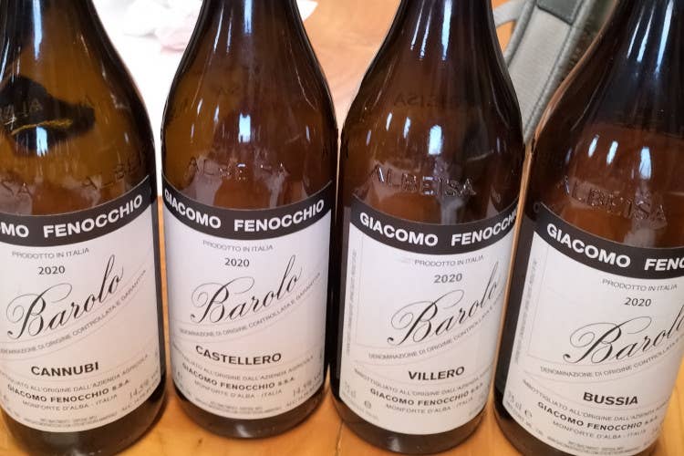 Giacomo Fenocchio: il presente e il passato del Barolo e delle Langhe