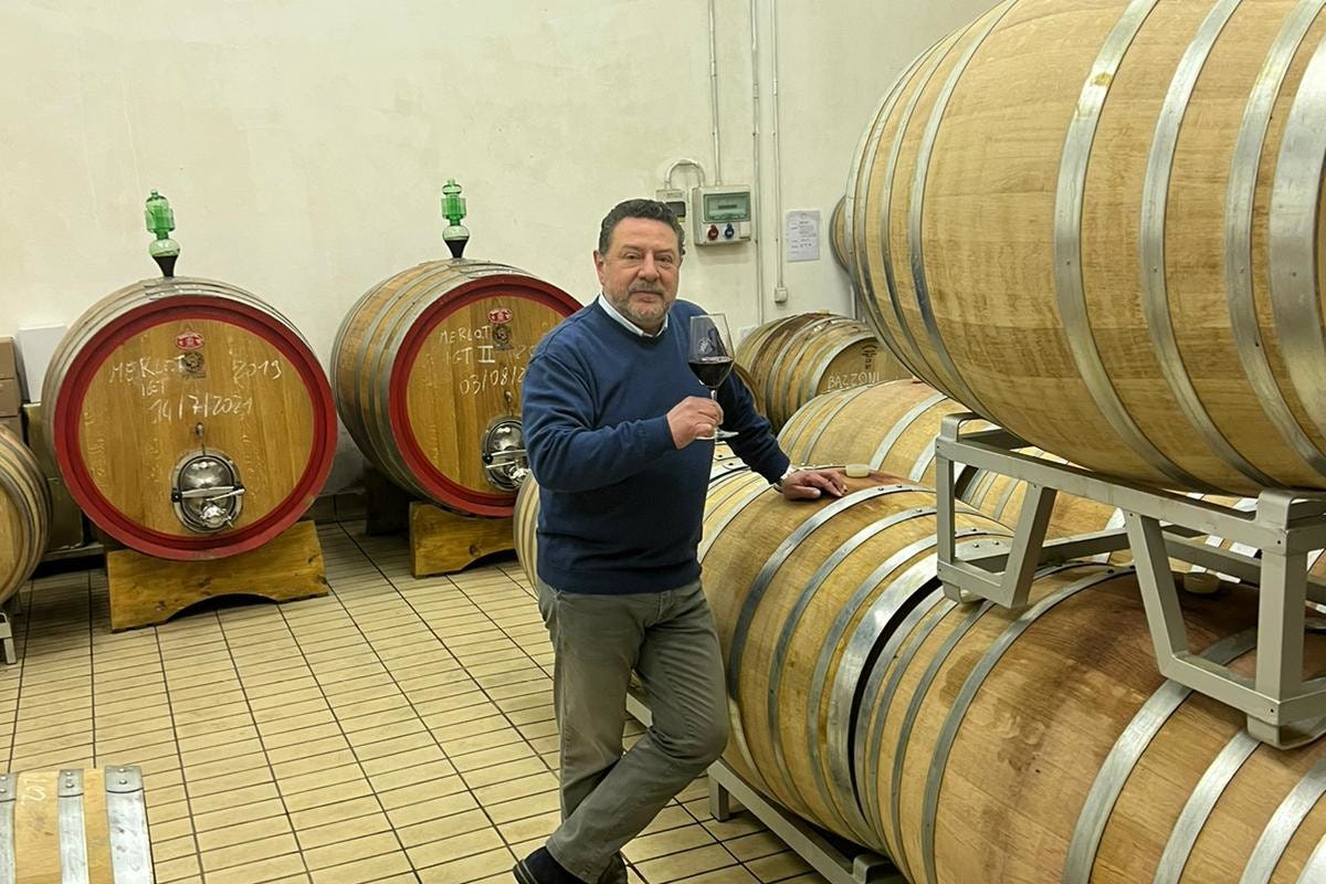 Gianluigi Bontempi  Rocche dei Vignali, viticoltura di montagna in Val Camonica