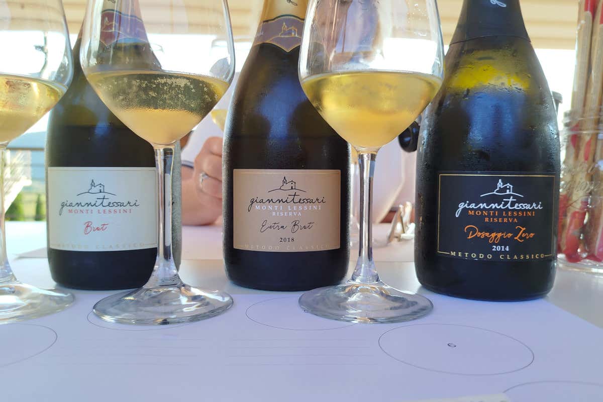 Monte Lessini, Soave e Colli Berici: i tre volti del vino di Gianni Tessari Monte Lessini, Soave e Colli Berici: i tre volti del vino di Gianni Tessari
