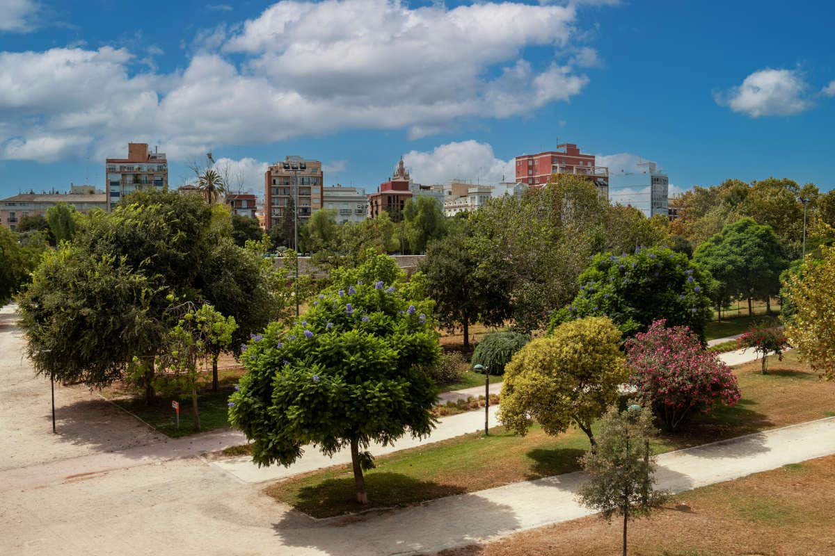 Valencia: cosa vedere e come muoversi nella Capitale Verde Europea 2024