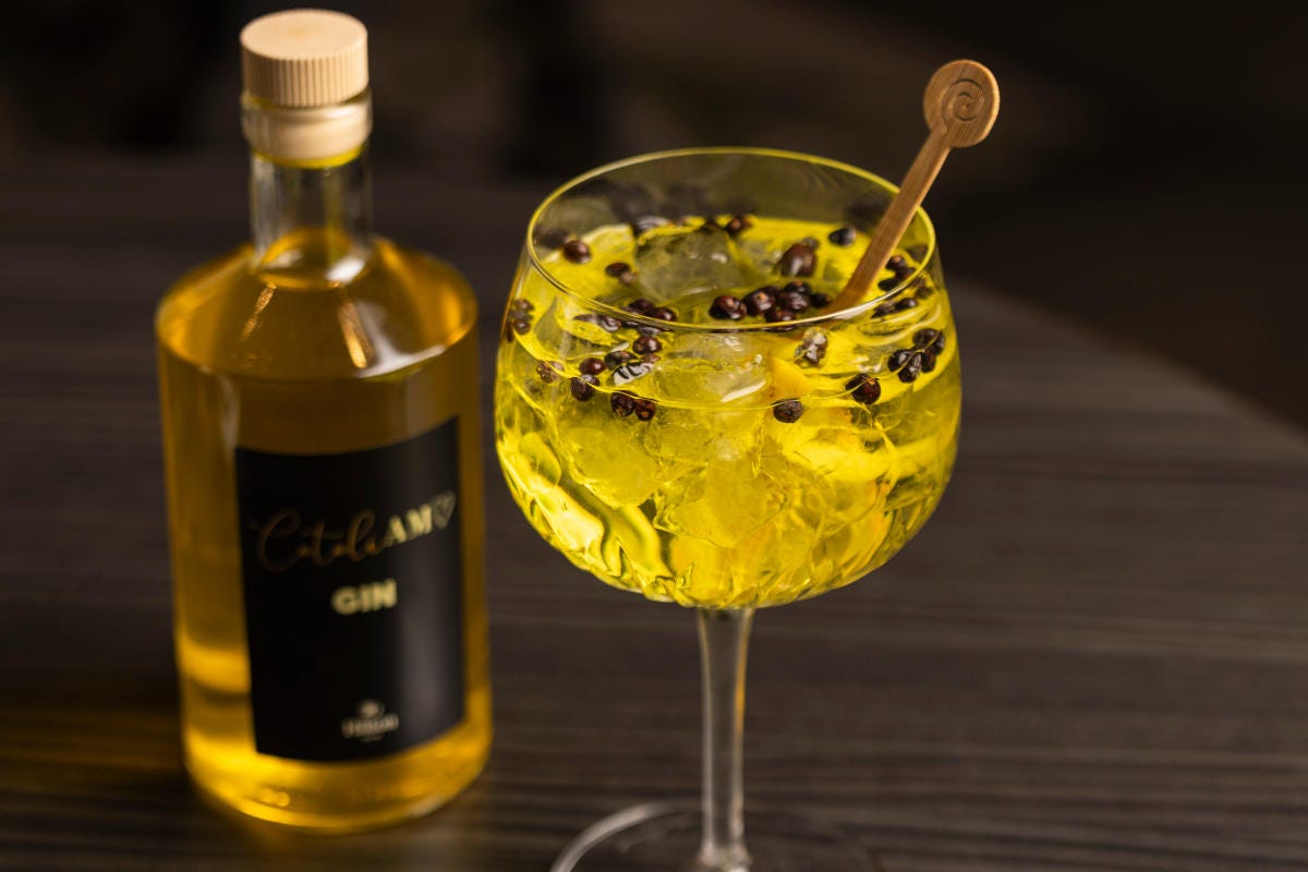 Da non perdere il gin CotoliAMO: tra gli ingredienti lo zafferano CotoliAMO è il nuovo gastro bistrot dello chef Paolo Ghirardi