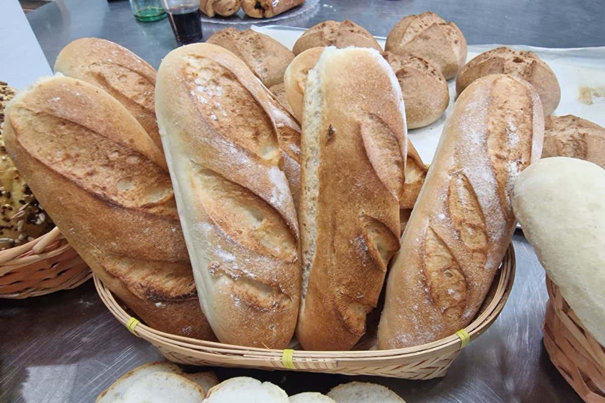 Il senza glutine non è più una scusa: oggi croissant e panettoni sono (davvero) uguali agli originali Il senza glutine non è più una scusa: oggi croissant e panettoni sono (davvero) uguali agli originali
