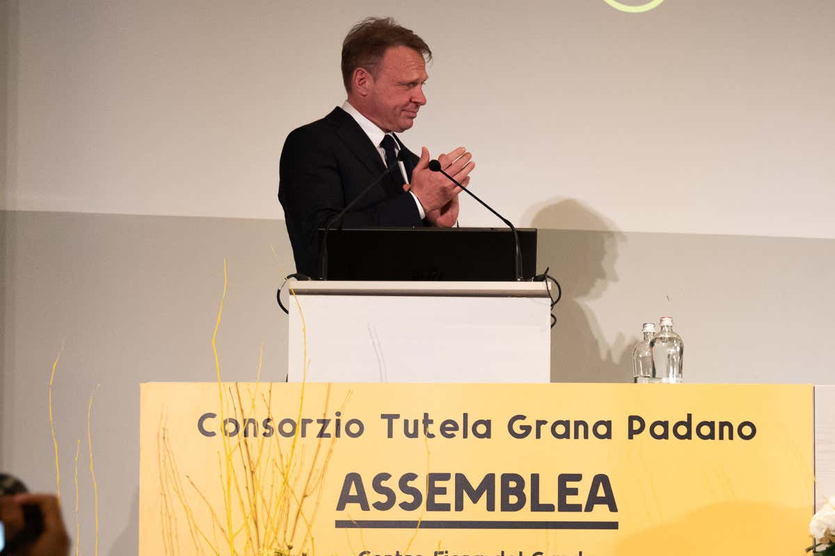 Grana Padano: 5,6 milioni di forme prodotte nel 2024. Ma ora occhio ai dazi
