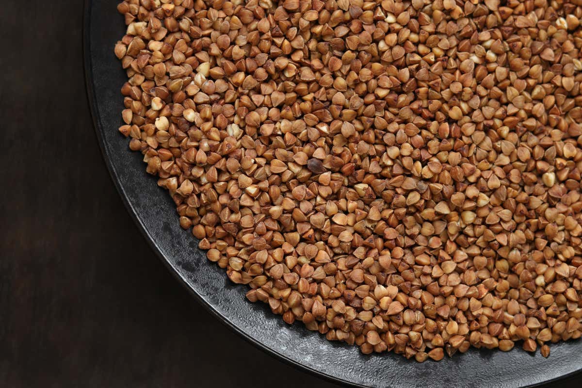 Grano saraceno: proprietà nutrizionali, benefici e controindicazioni Grano saraceno: proprietà nutrizionali, benefici e controindicazioni