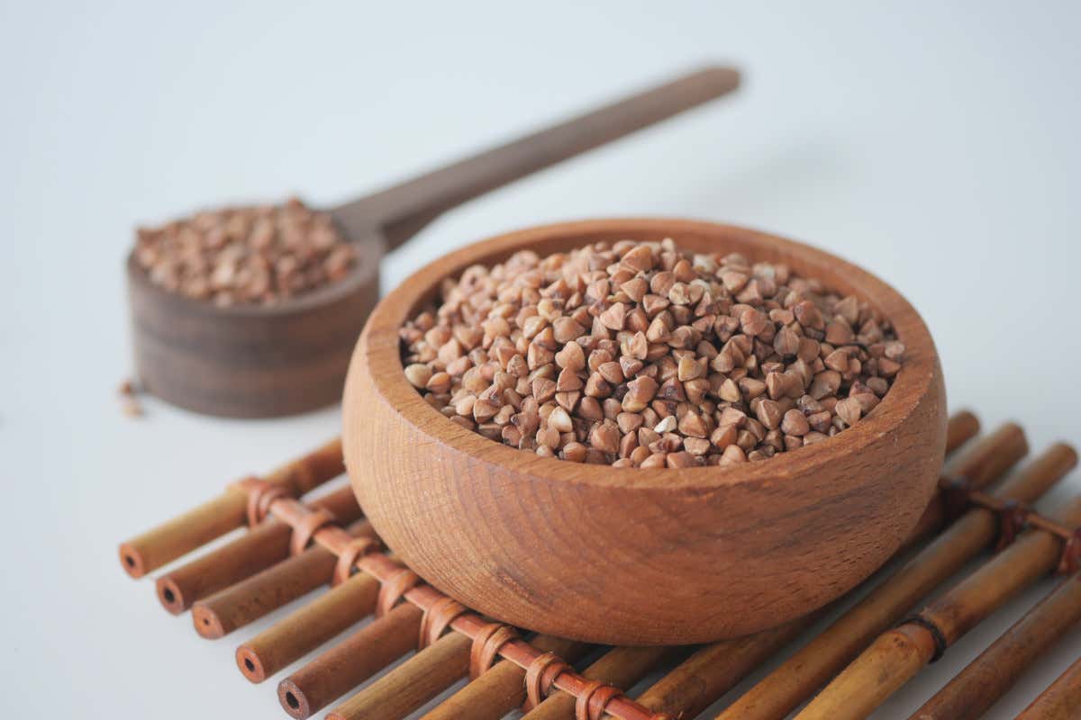 Grano saraceno: proprietà nutrizionali, benefici e controindicazioni Grano saraceno: proprietà nutrizionali, benefici e controindicazioni