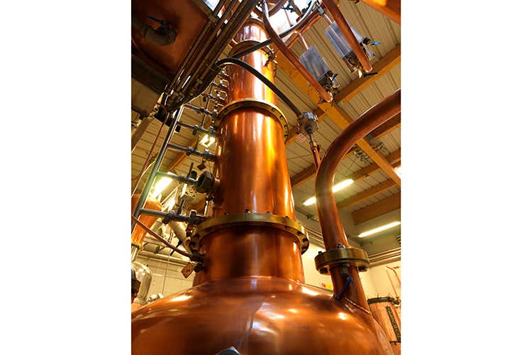 (Grappe Segnana, degustazioni al top con Alto Rilievo e Solera Collezione) (Grappe Segnana, degustazioni al top con Alto Rilievo e Solera Collezione)