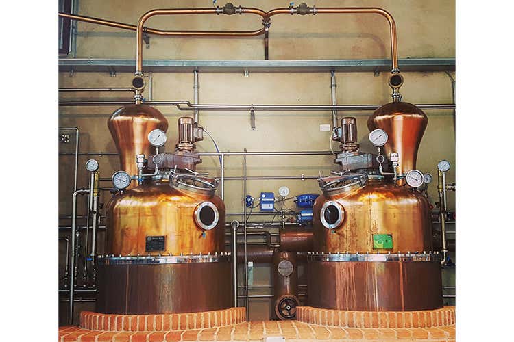 Cresce l&rsquo;attesa per Grapperie aperte Distillati e frutta, tema di quest&rsquo;anno