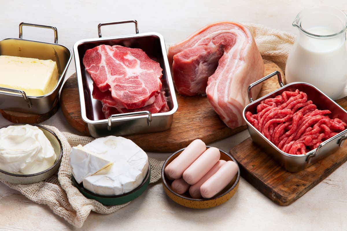 Grassi: fondamentali per la salute, ma da scegliere con attenzione Grassi: fondamentali per la salute, ma da scegliere con attenzione