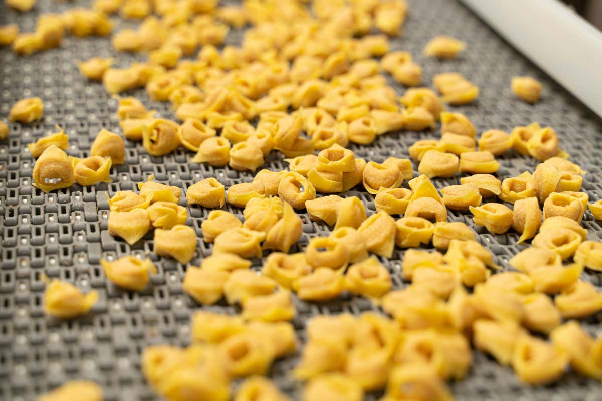 Bologna nel piatto: la pasta fresca e il modello di successo di Gratifico Bologna nel piatto: la pasta fresca e il modello di successo di Gratifico