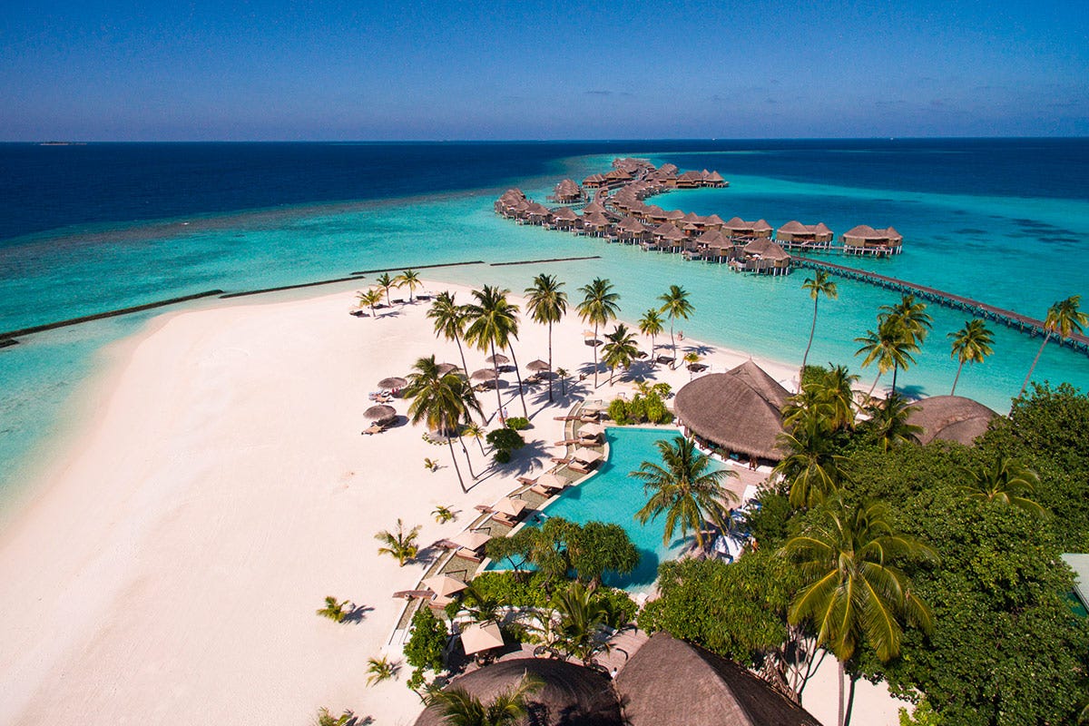 Le Maldive ispirano i sapori esotici di “Portobello e Guacamole”