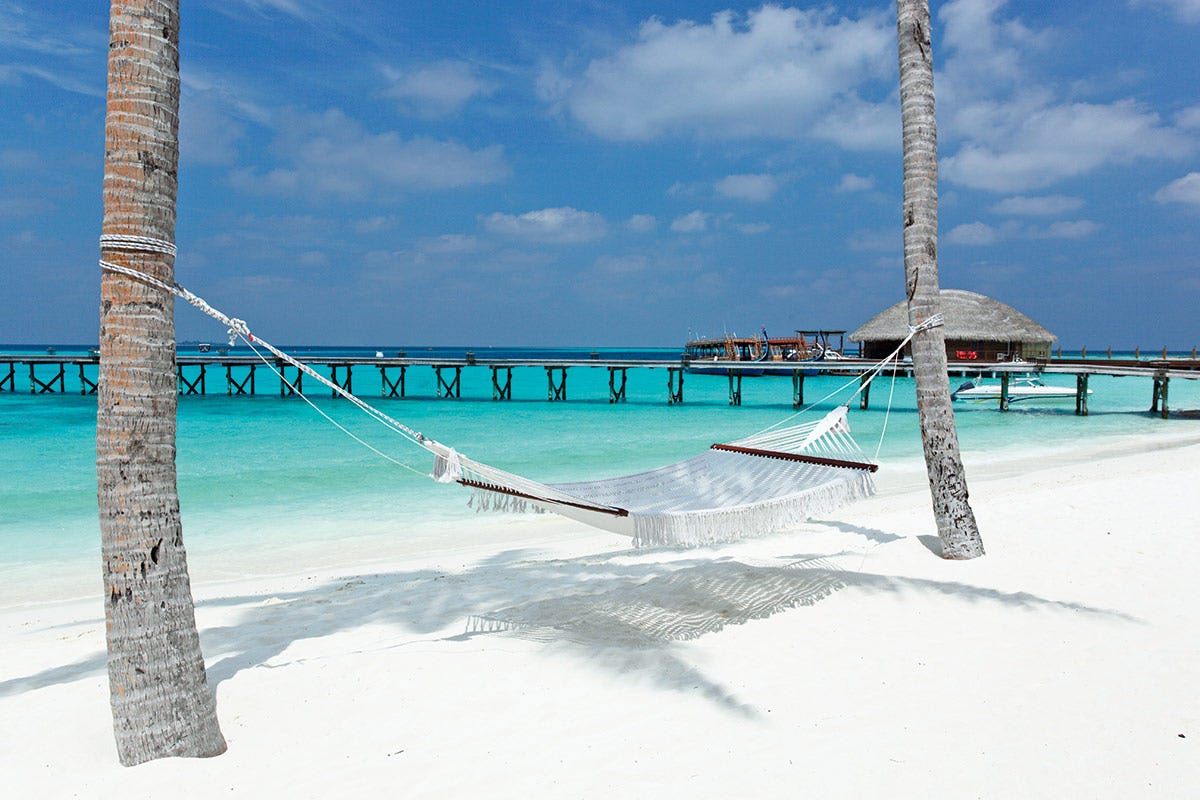 Le Maldive ispirano i sapori esotici di “Portobello e Guacamole”