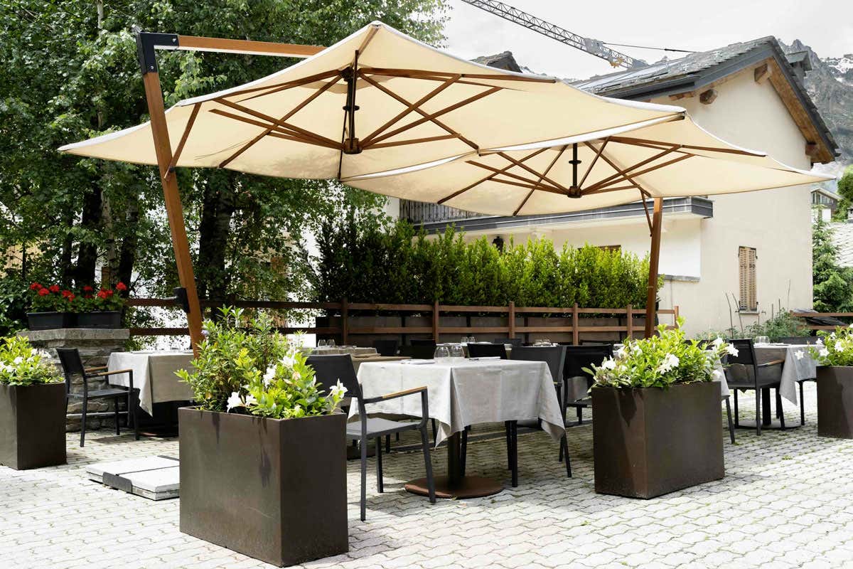 Mangiare cucina selvatica tra erbe spontanee e sapori audaci a Courmayeur Mangiare cucina selvatica tra erbe spontanee e sapori audaci a Courmayeur