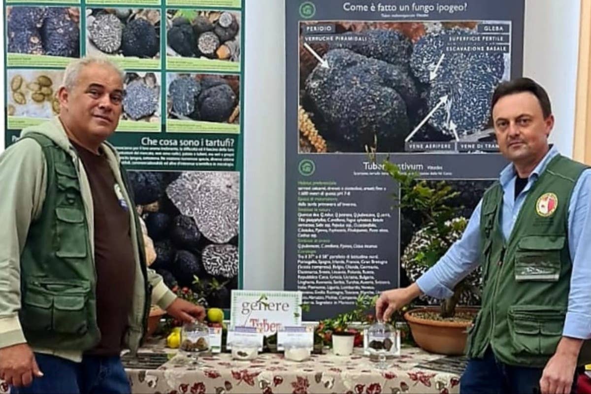 Il ristorante I Canonici di Barbarano Vicentino: custode della tradizione del Tartufo