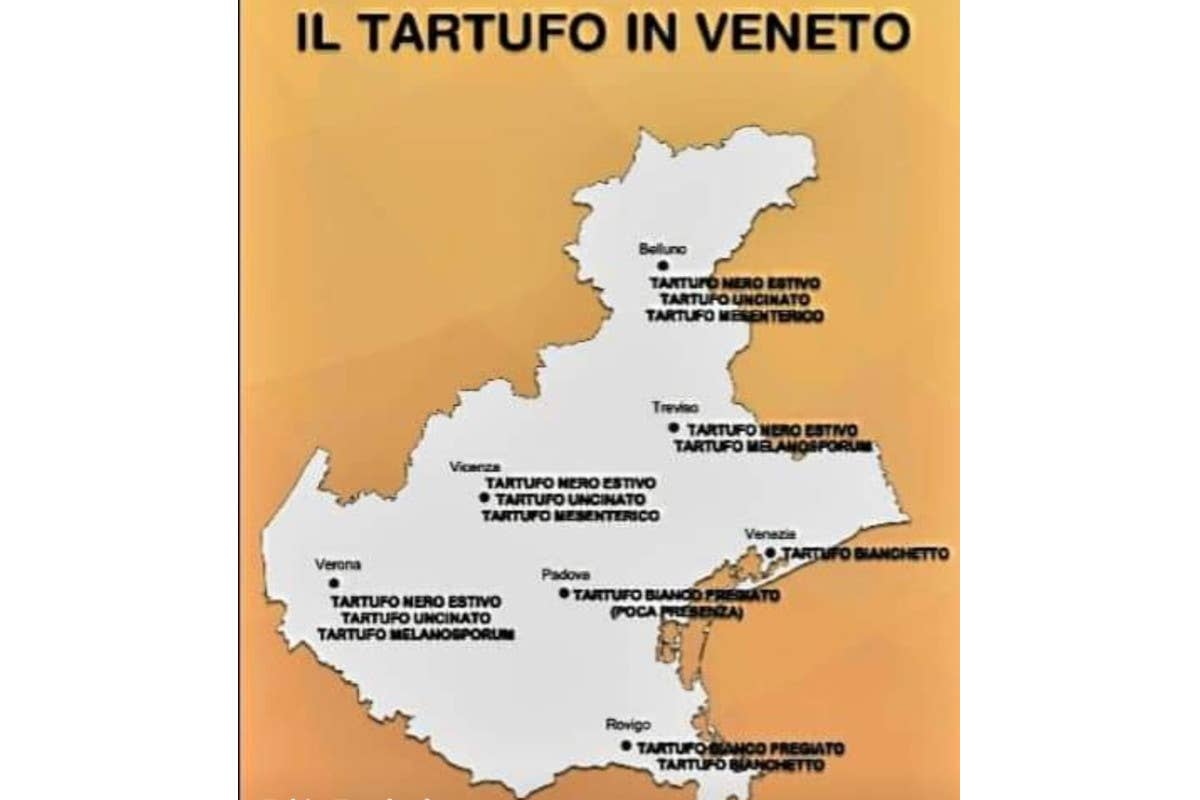 Il ristorante I Canonici di Barbarano Vicentino: custode della tradizione del Tartufo