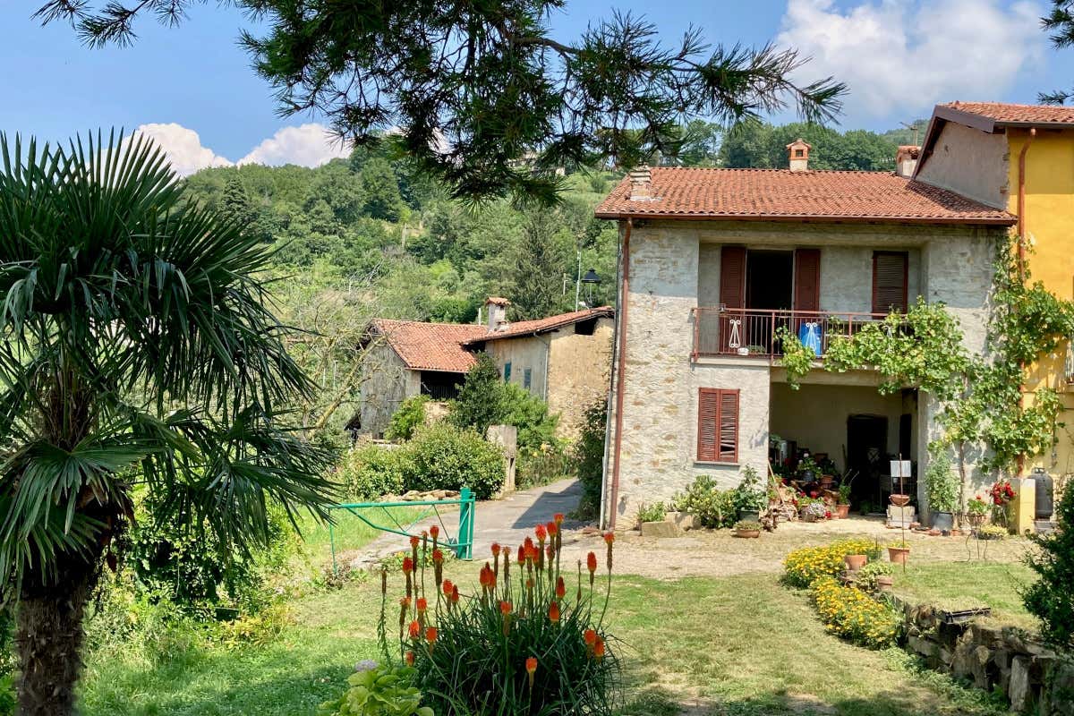 Il primo olio extravergine della Brianza: tutto su “Il Podere di Aleandro”