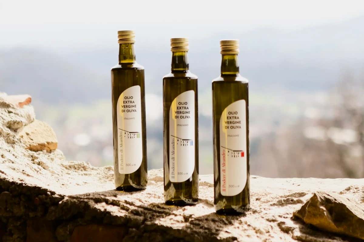 Il primo olio extravergine della Brianza: tutto su “Il Podere di Aleandro”