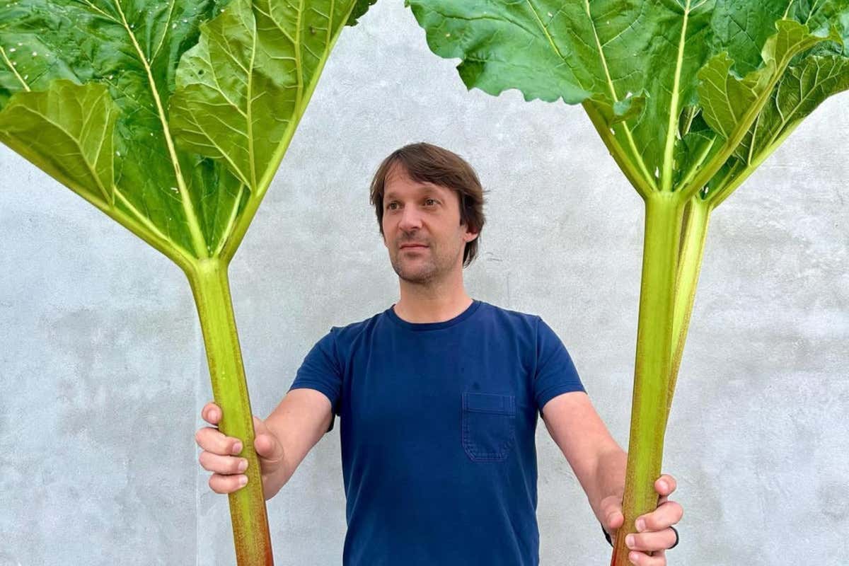 Noma, arrivano le scuse di Redzepi, ma non bastano: la vera stella è la dignità del lavoro