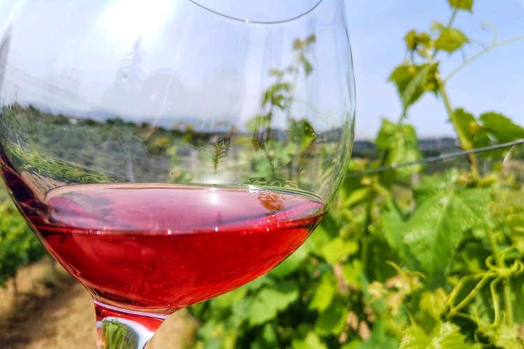 La linea Posso ha inaugurato l'attivit&agrave; di Inverso Vini Da manager a vignaioli Due amici e una scelta... all'Inverso