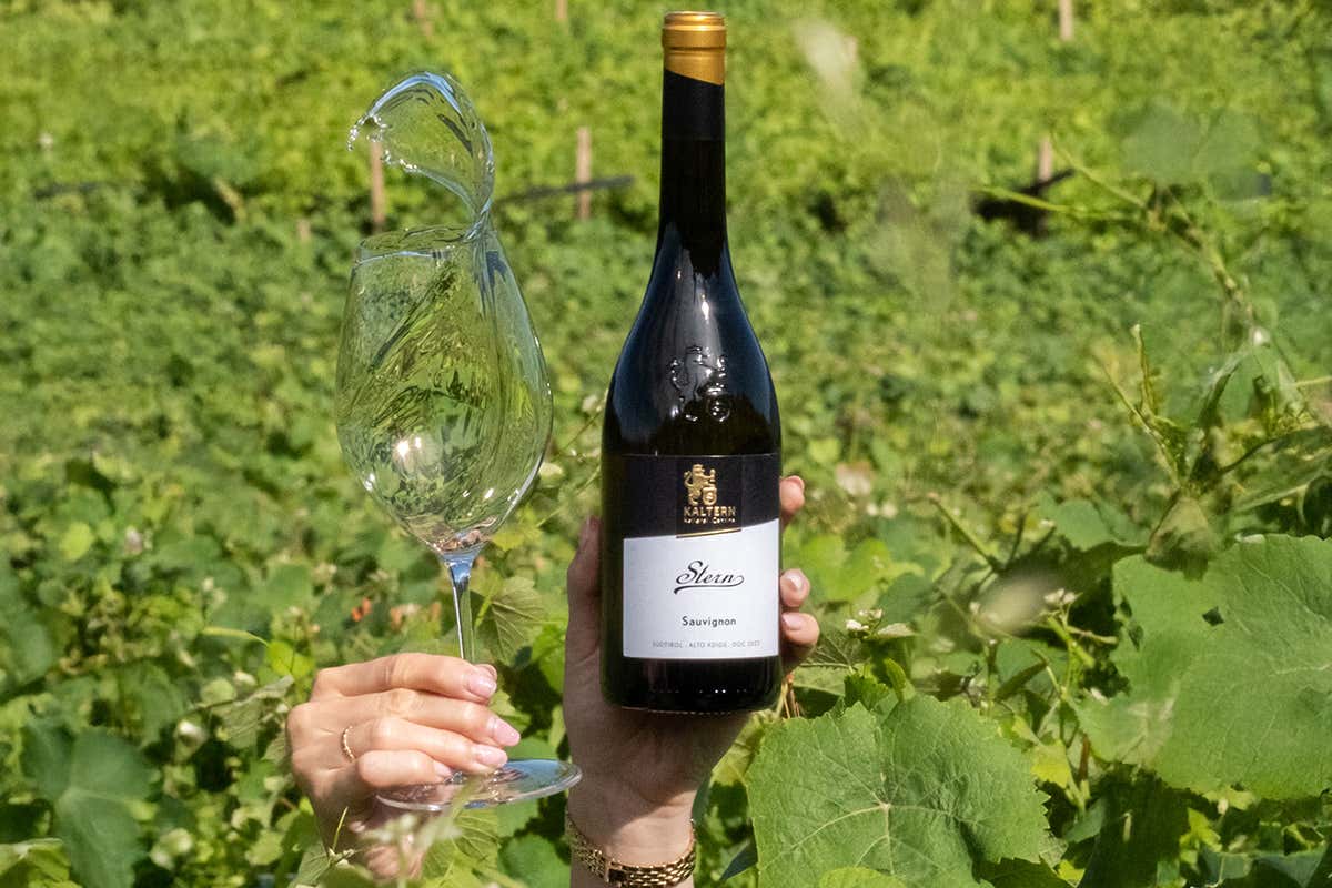 Quintessenz Pinot Bianco e Stern Sauvignon di Kaltern, perfetti con gli asparagi Quintessenz Pinot Bianco e Stern Sauvignon di Kaltern, perfetti con gli asparagi