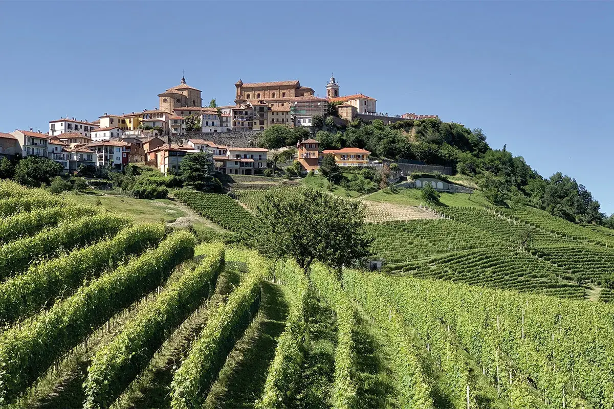 Langhe, un viaggio nel gusto e nella tradizione - Italia a Tavola