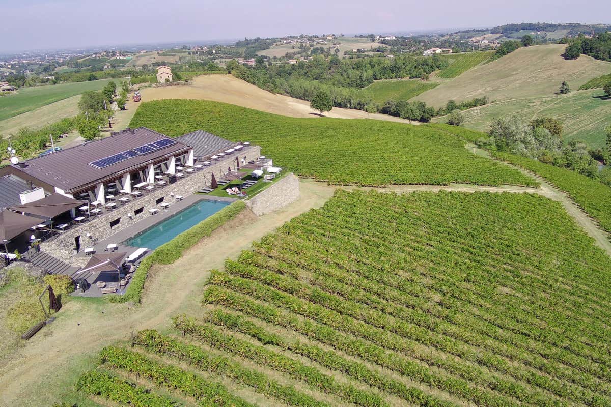 Modena e il vino: viaggio in quattro cantine dove nasce il Lambrusco