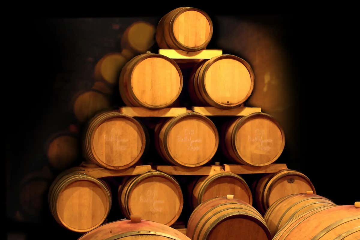 Mafalda, dalla leggenda al bicchiere: l’Oltrepò pavese si scopre (anche) terra di gin