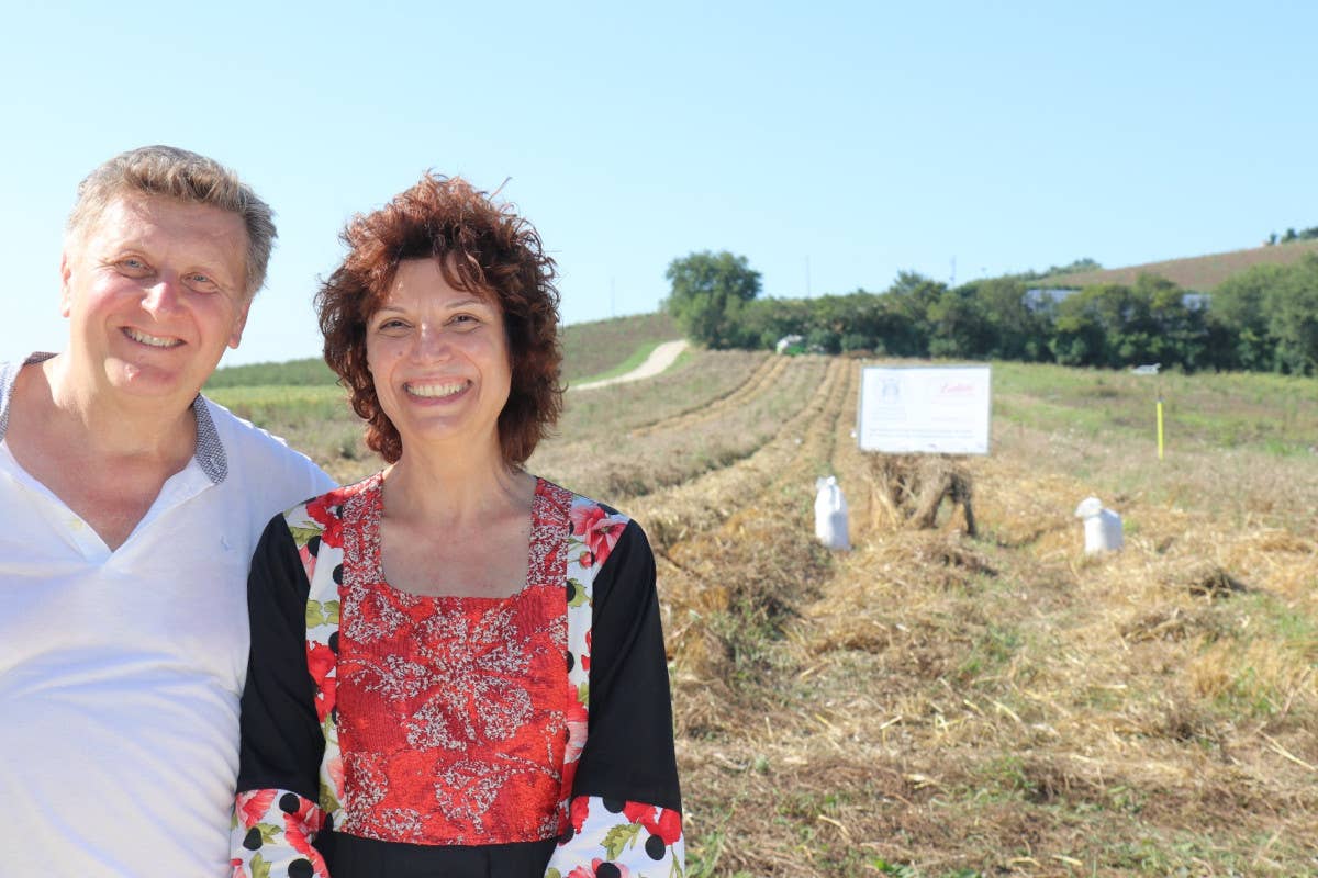 A Carla Latini il premio “Accademia italiana della cucina” per la promozione del grano senatore Cappelli 