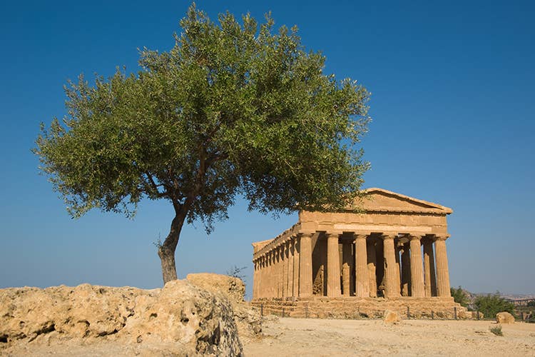 (Il lato femminile della Sicilia con i suoi oli evo eleganti)