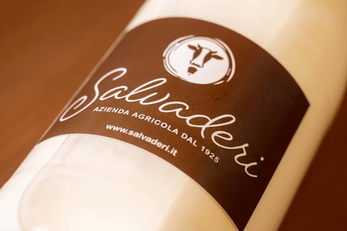 Latte: perché non è tutto uguale (e quale scegliere al supermercato) Latte: perché non è tutto uguale (e quale scegliere al supermercato)