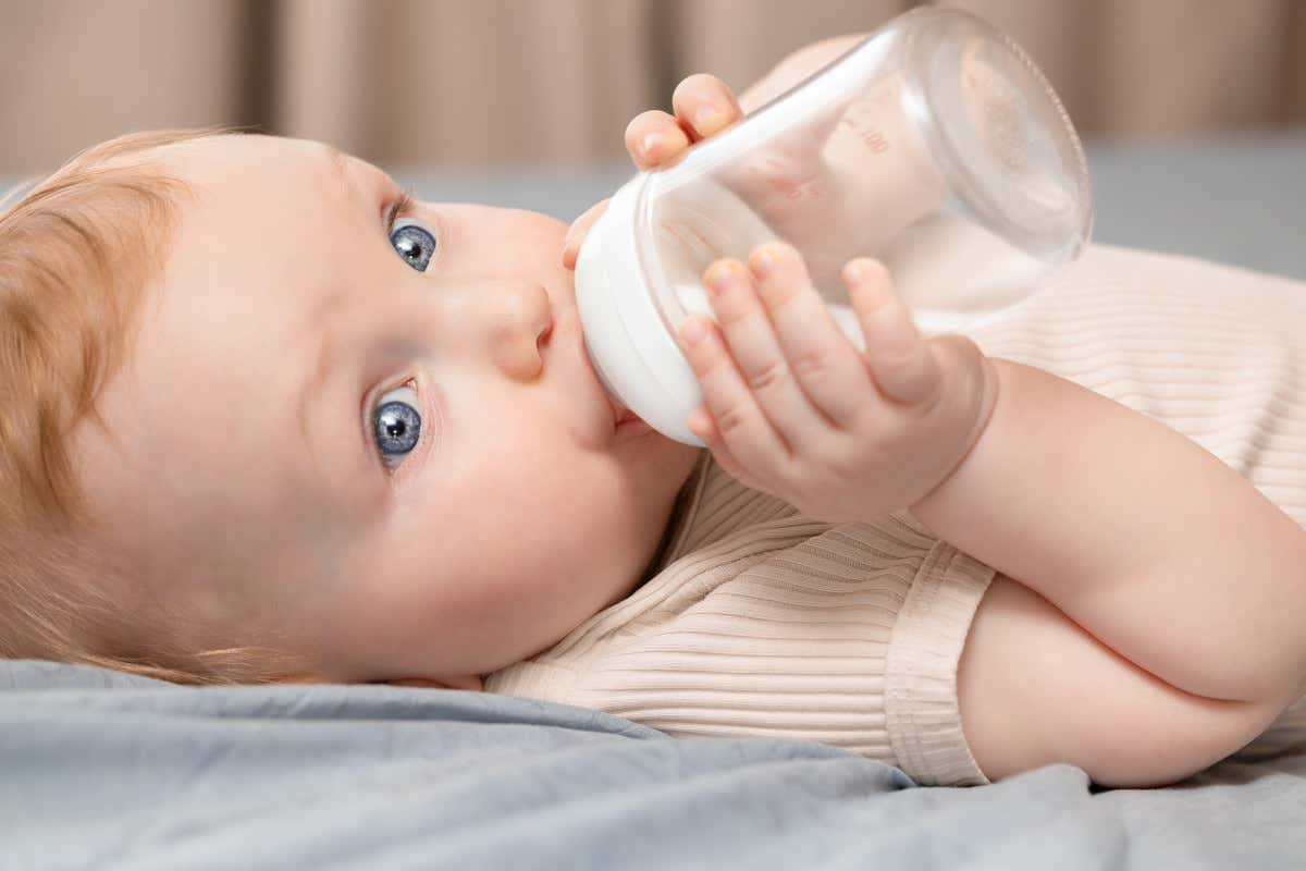 Dalla Terra Promessa ai formaggi stagionati: il viaggio del latte nella storia