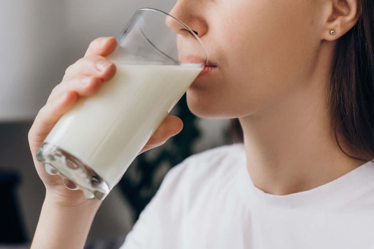 Dalla Terra Promessa ai formaggi stagionati: il viaggio del latte nella storia