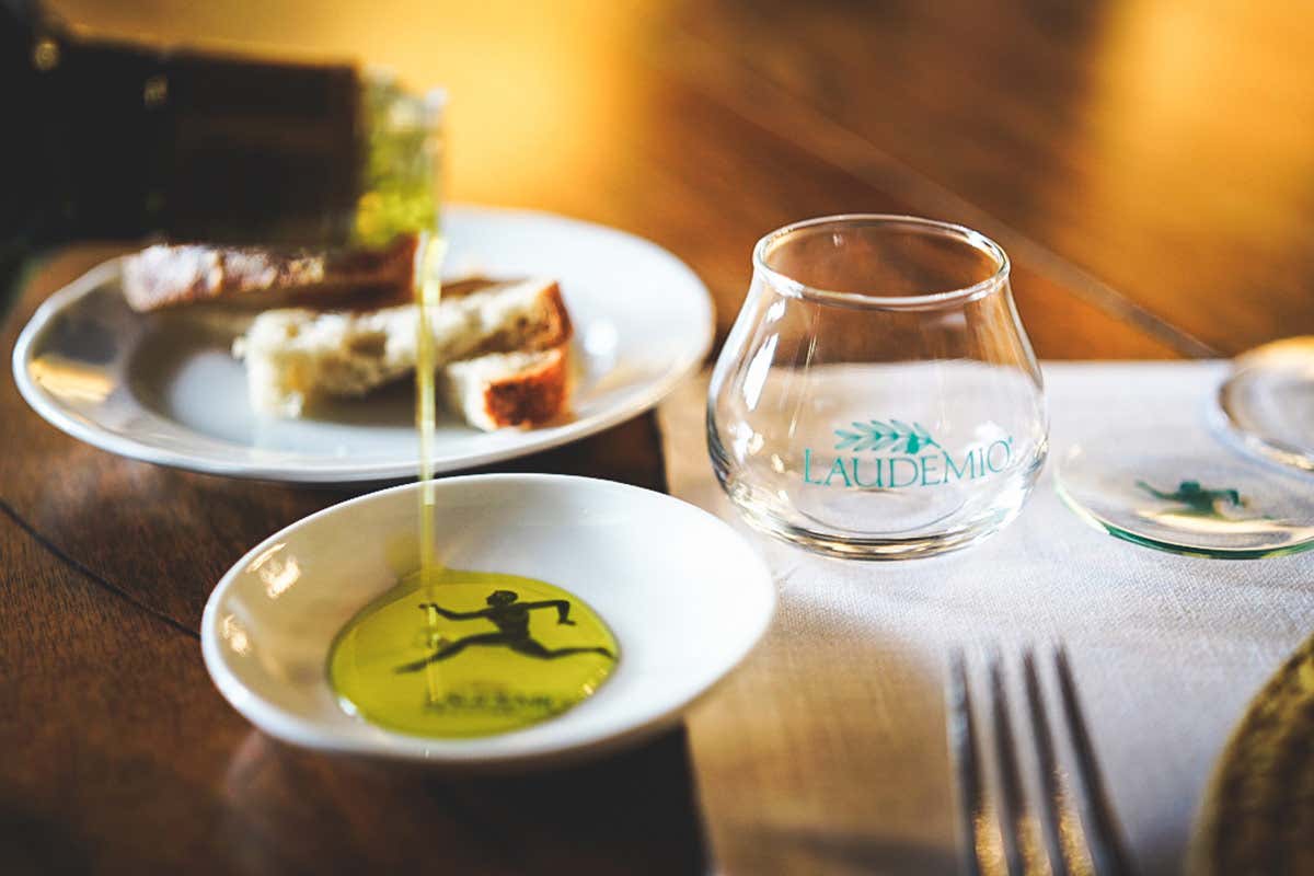 Perché il Laudemio è tra gli extravergini più ricercati del mondo Perché il Laudemio è tra gli extravergini più ricercati del mondo