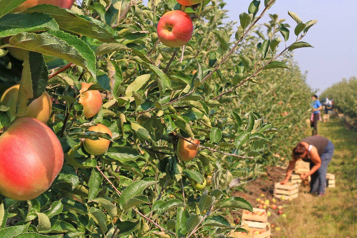 Lavoro, a Ferragosto mancano 22mila stagionali