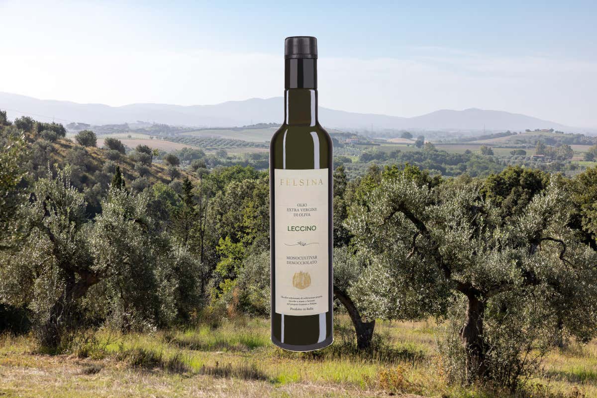Perché l'olio evo toscano è così ricercato nonostante la bassa produzione?