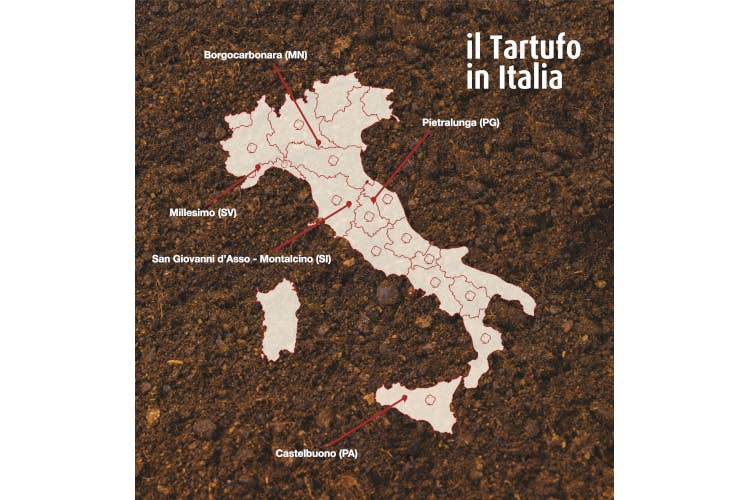 Mappa delle Città del Tartufo. Fonte: Associazione nazionale Città del tartufo  Millesimo: biodiversità e.. Festa Nazionale del Tartufo