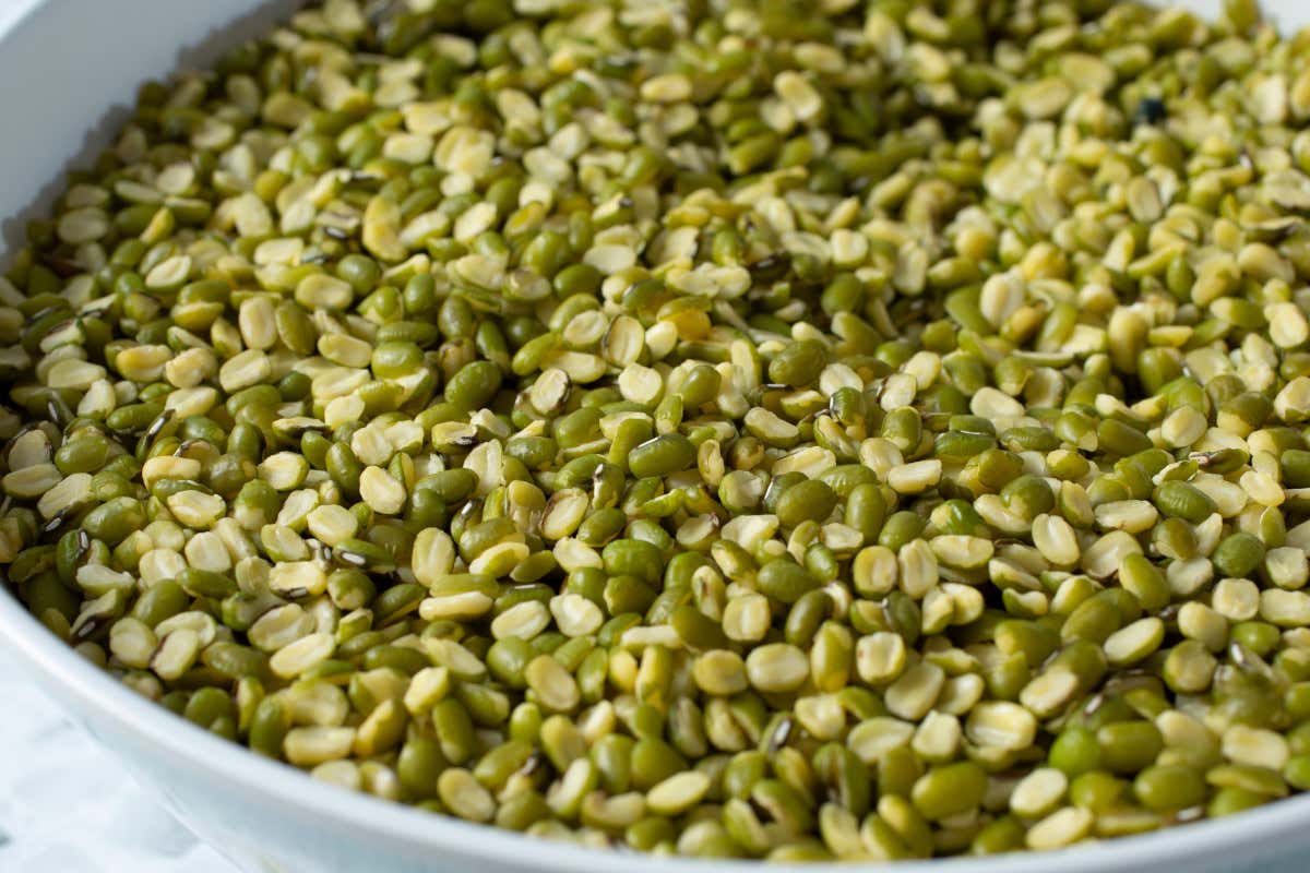 Mercato delle lenticchie primi segnali di inversione dopo mesi di calo